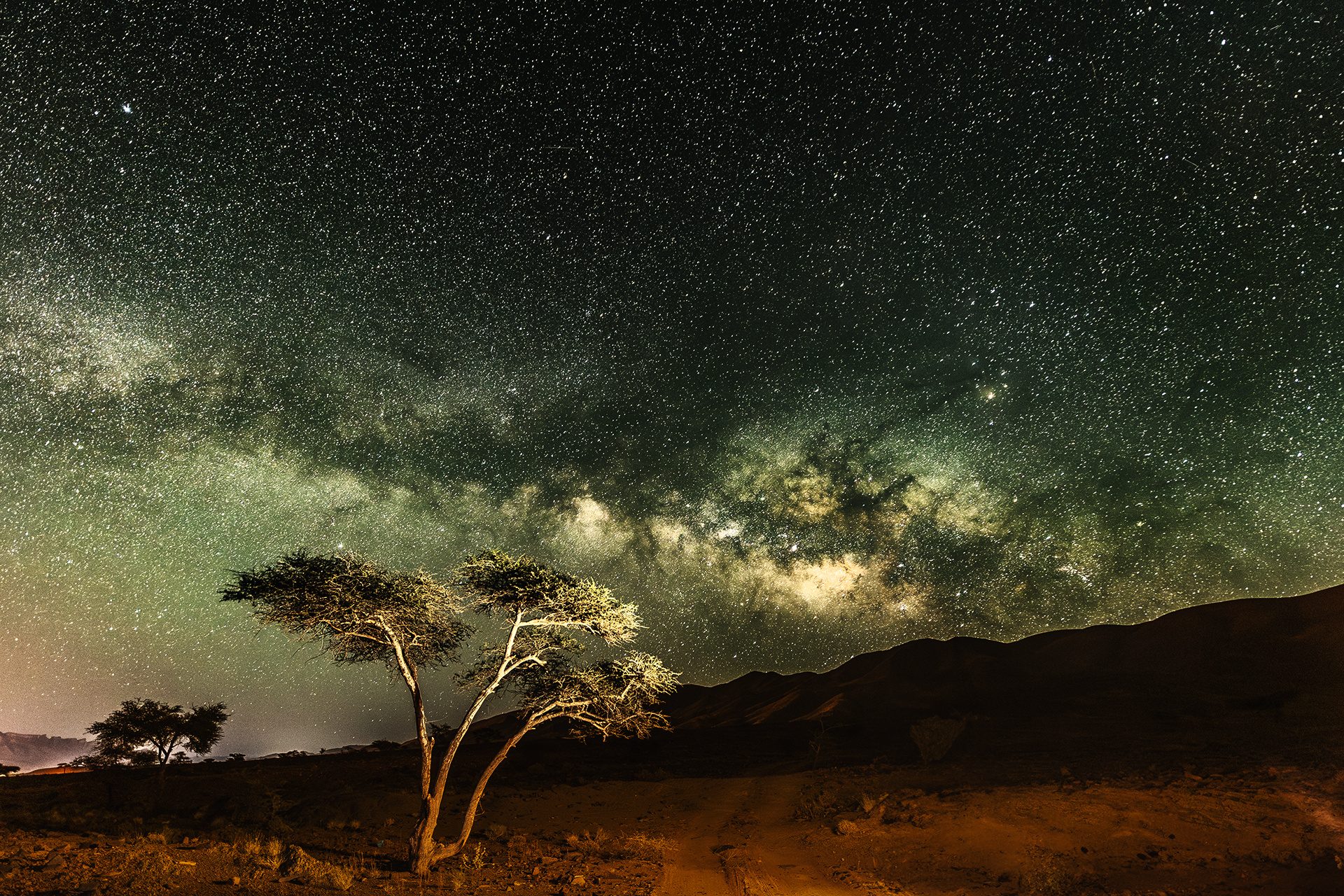 Un’acacia isolata sotto la Via Lattea nella notte di Agdz, Marocco
