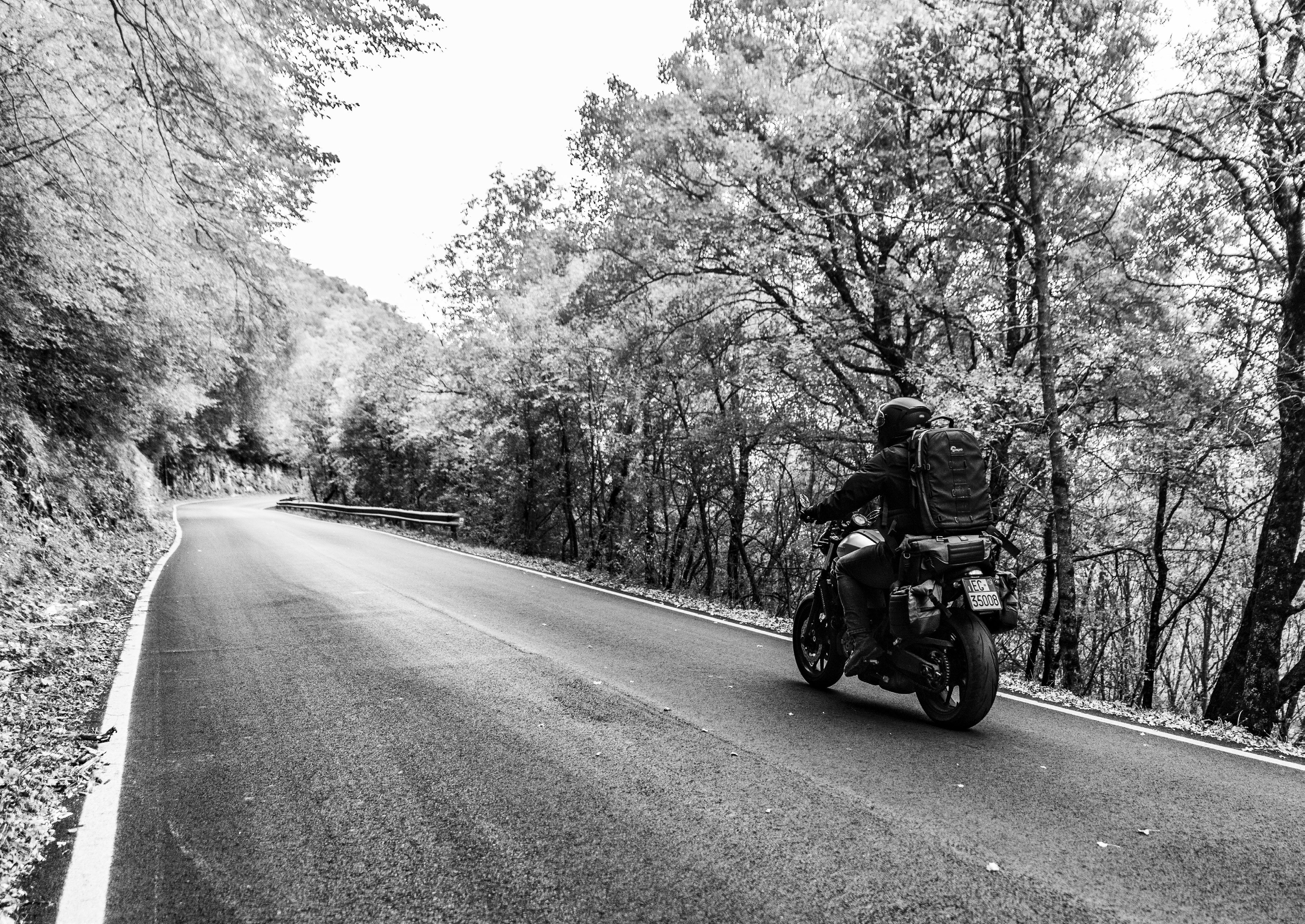 Un motociclista in curva su una strada che attraversa un bosco, in bianco e nero