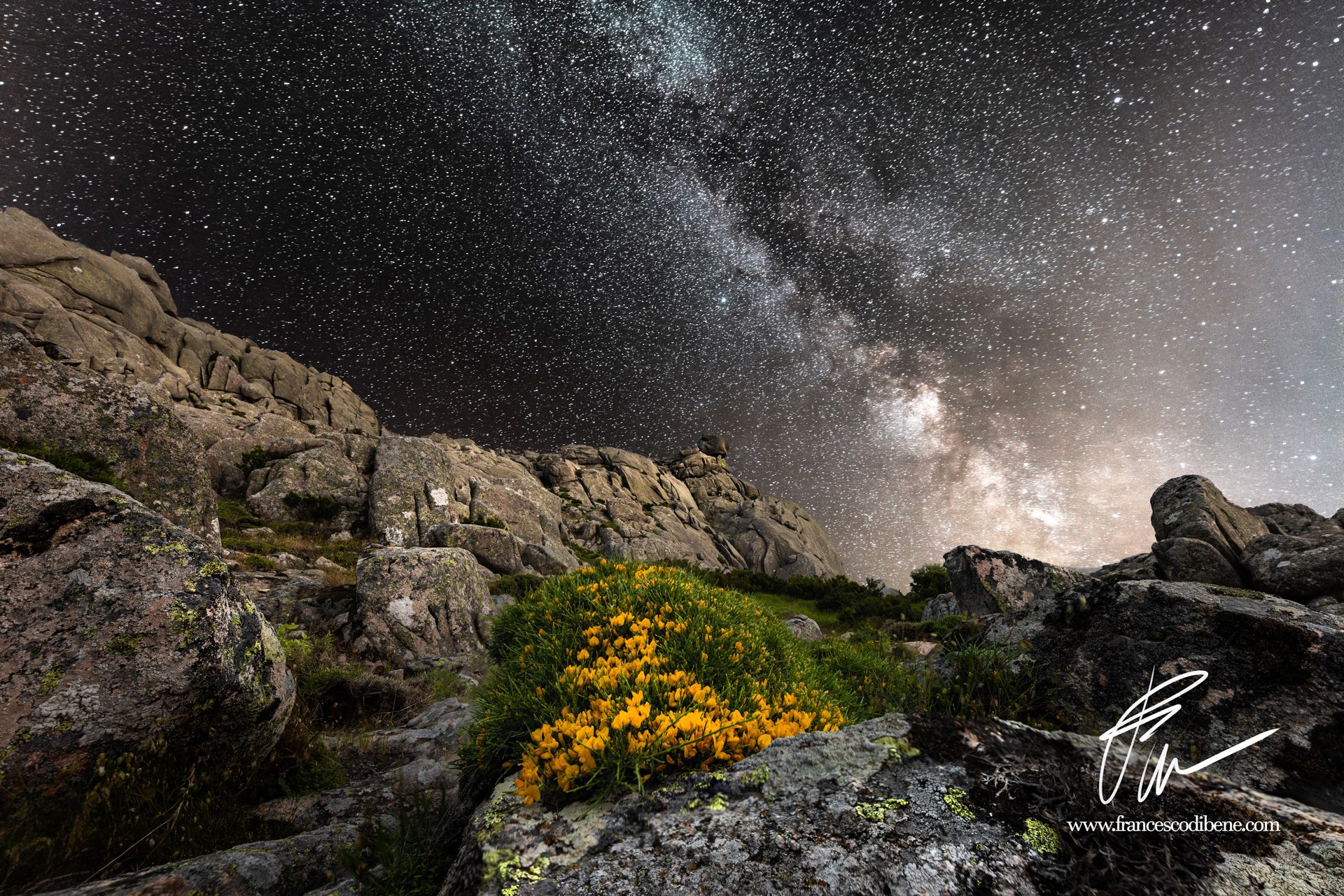 La Via Lattea sopra le rocce del Monte Limbara, con fiori gialli in primo piano, Sardegna
