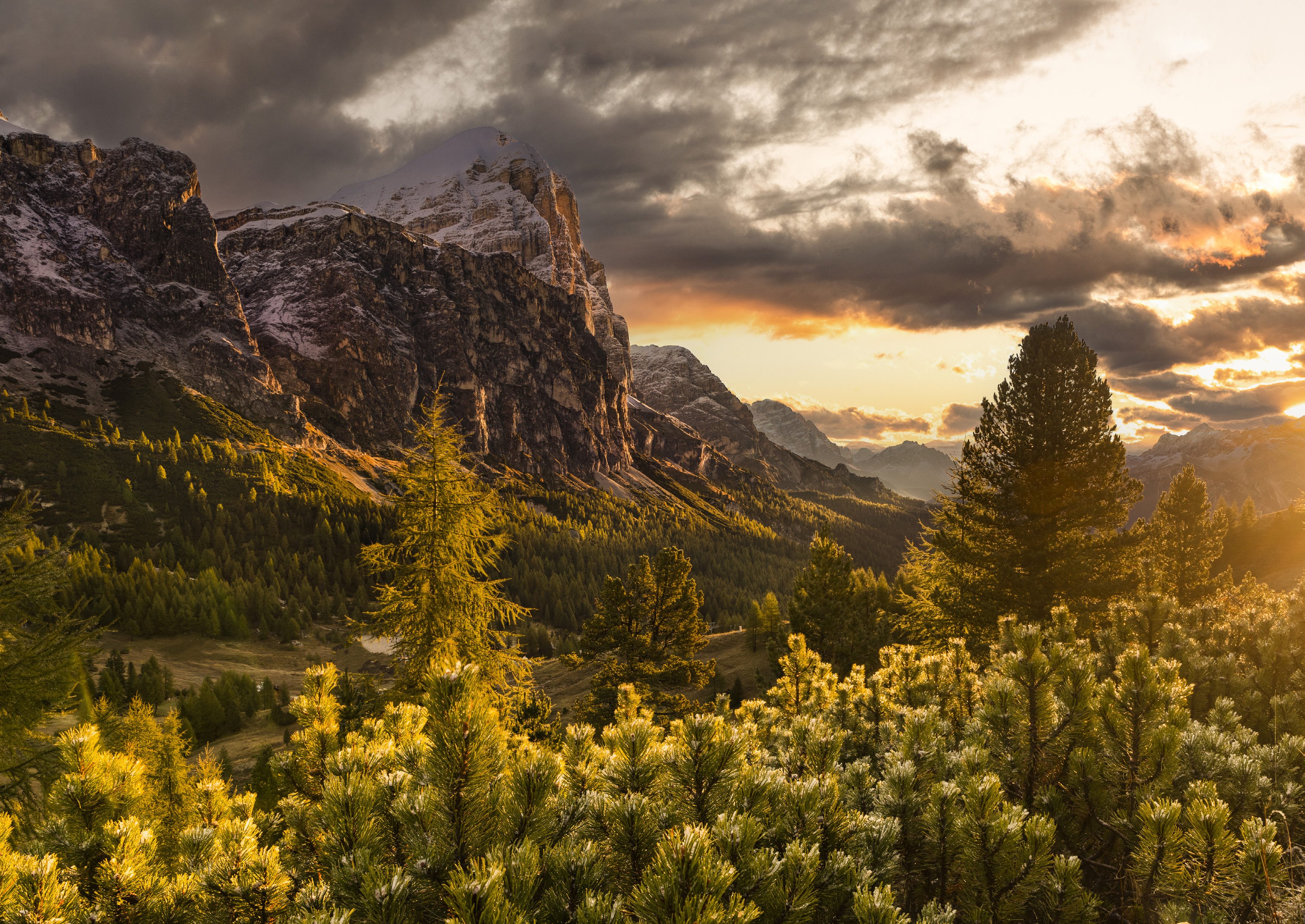 Tofana di Rozes all’alba, con i pini mughi illuminati in primo piano, Dolomiti