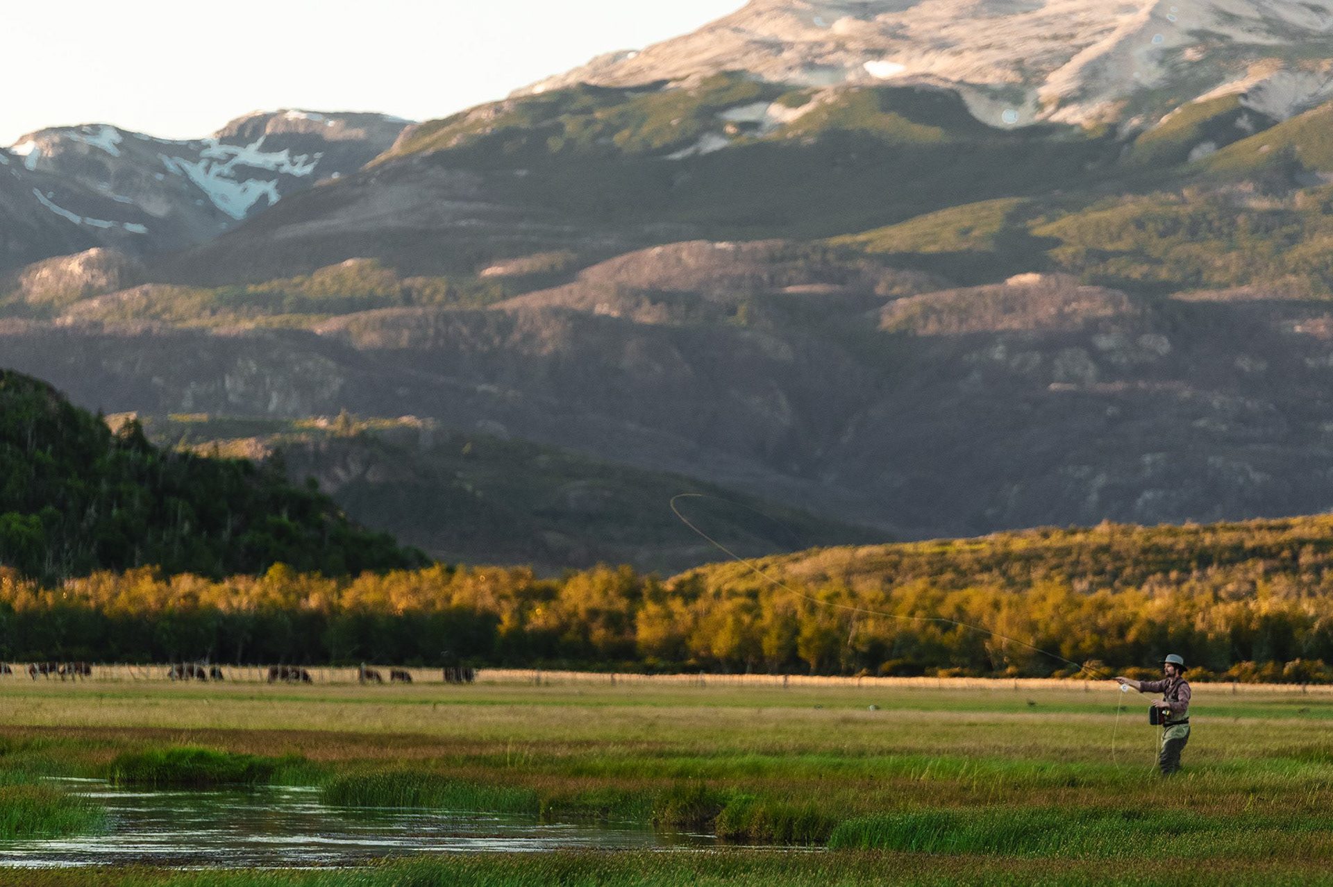 Valle tra le montagne con un pescatore minuscolo sul prato, Patagonia